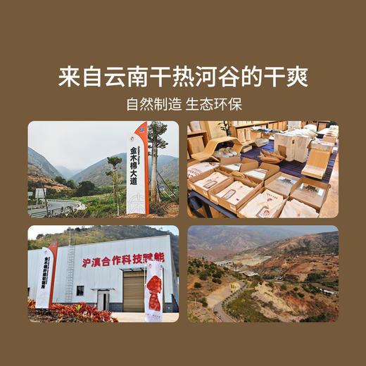 【纪念款定制袖标】上纺拾柒棉 金木棉T恤 匠心工艺 商品图2