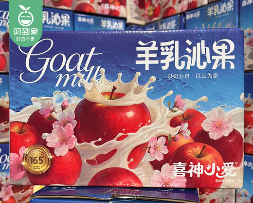 山西万荣羊奶苹果（80-90#）/1箱（8-11个，共2.5kg±100g） 商品图6