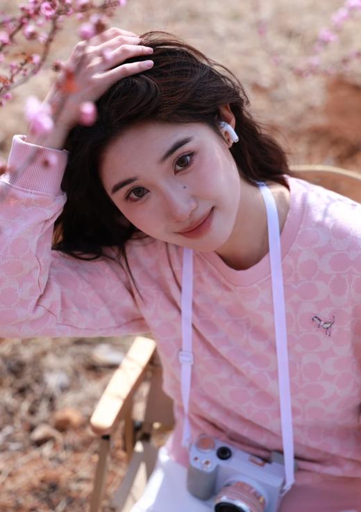 蔻家粉色满印小恐龙卫衣刺绣提花卫衣 商品图2