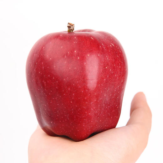 【甘肃好物】甘肃花牛苹果  4.5斤/8斤 商品图2