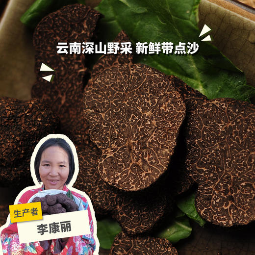 野生黑松露（云南永仁） | 合作生产 *Wild black truffle | Coperation 商品图0