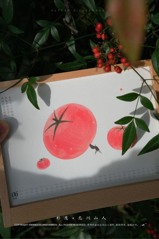 朴愿2026马年台历 商品图5