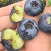 【云南好物】花香蓝莓 125g/盒 顺丰直达 商品缩略图3