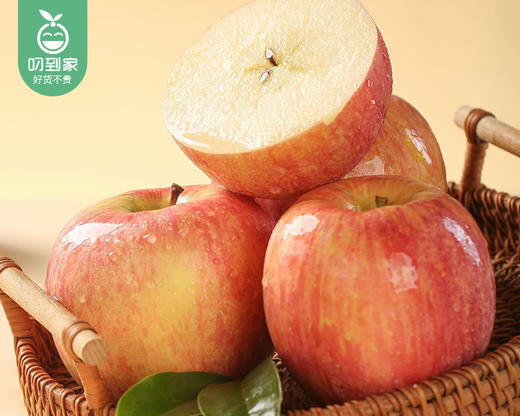 山西万荣羊奶苹果（80-90#）/1箱（8-11个，2.5kg±100g） 商品图1