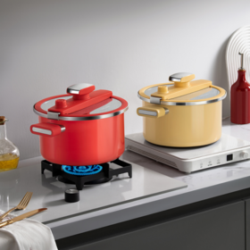 💥挖到宝！德国🇩🇪百年品牌【德世朗DFS-T990A钛珐琅微压营养蒸汤锅】💦6L钛珐琅微压锅让我家厨房效率翻倍！ 安全+健康~😍