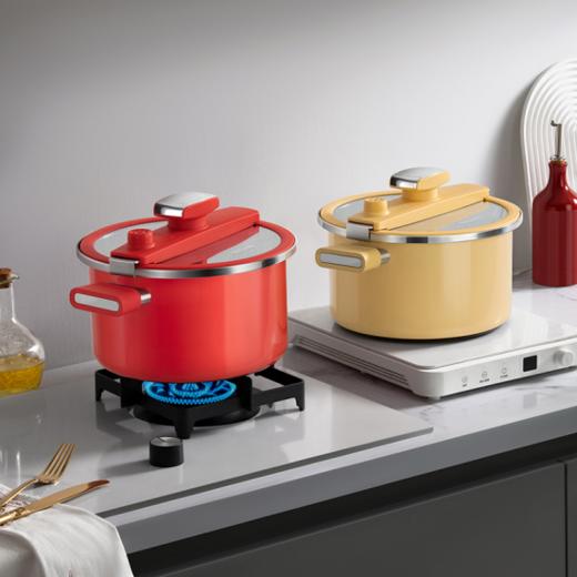 💥挖到宝！德国🇩🇪百年品牌【德世朗DFS-T990A钛珐琅微压营养蒸汤锅】💦6L钛珐琅微压锅让我家厨房效率翻倍！ 安全+健康~😍 商品图0