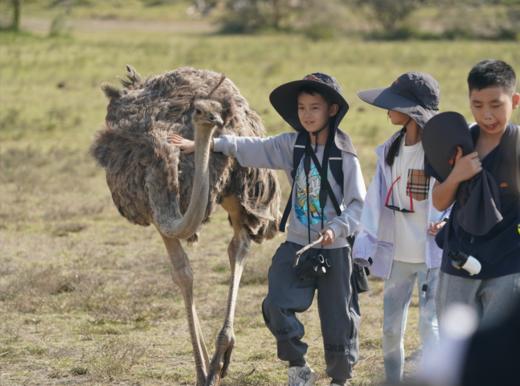 【寒假亲子】肯尼亚10日自然探索,科学大咖带队,马赛马拉五霸safari,夜巡,国家博物馆,中文中餐|6~18岁亲子 商品图3
