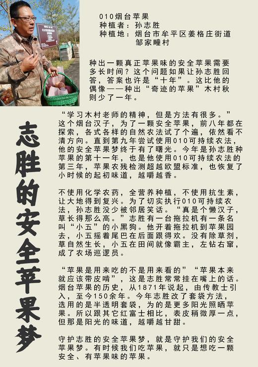 【积分兑换】010山东烟台红富士  酸甜适中  果肉松脆  皮略厚 带皮啃更香  北纬37度 黄金维度带 150年种植历史 商品图3