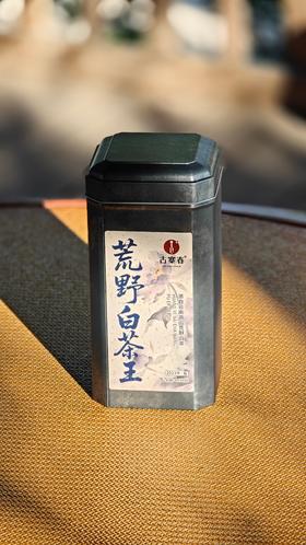 【荒野白茶王】2023年荒野云南白茶一口便知荒野茶的气韵，鲜爽甘甜，100克/罐