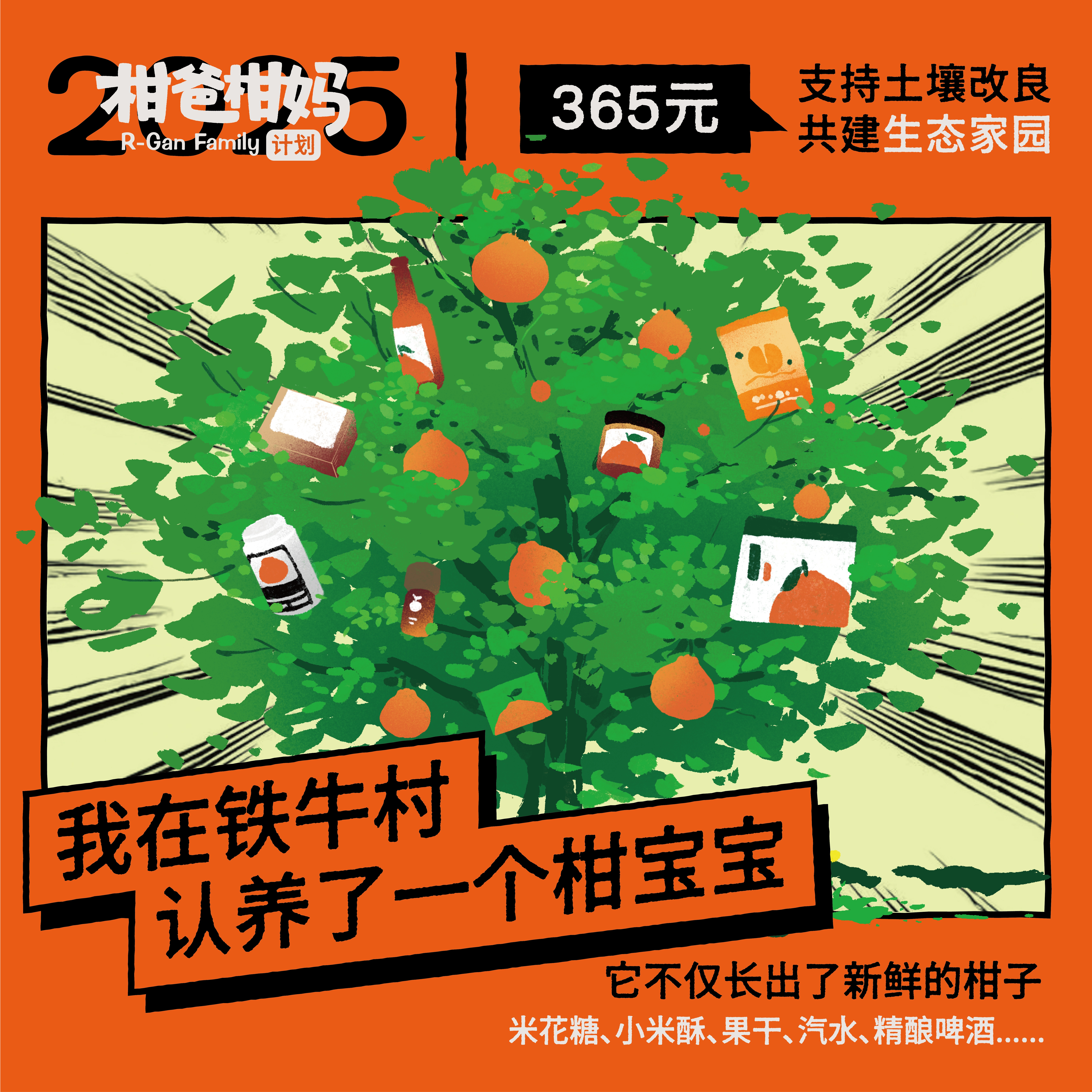 2025柑爸柑妈计划