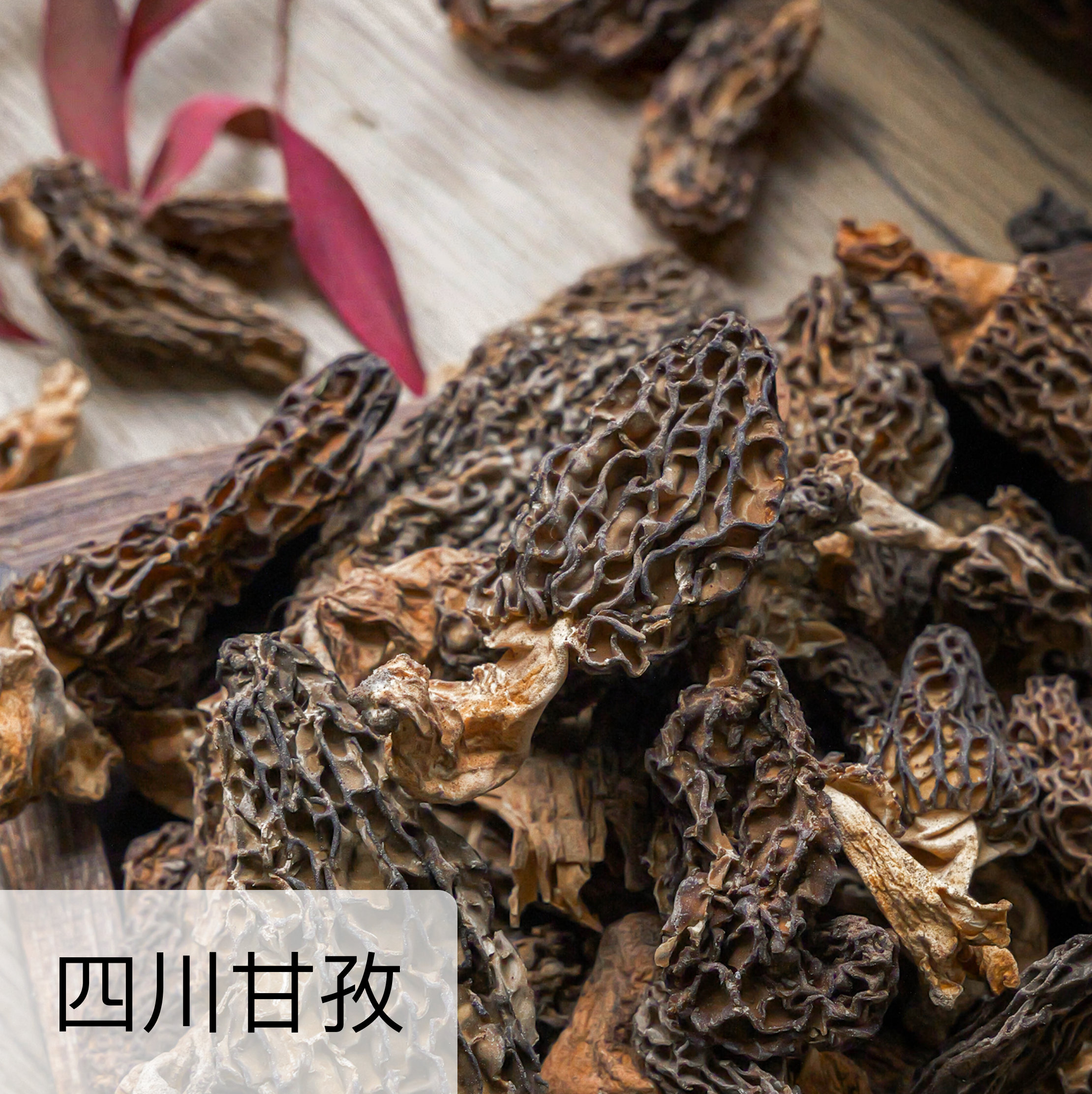 高原野生羊肚菌  50g*1罐