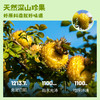 【2份立减10元】贵州深山刺梨干 富含维生素C  优选大果 自然晾晒  无添加 获得金奖 100g/袋 商品缩略图3