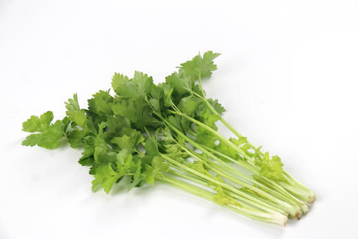 [专业种子] “申芹3号”种子 商品图0