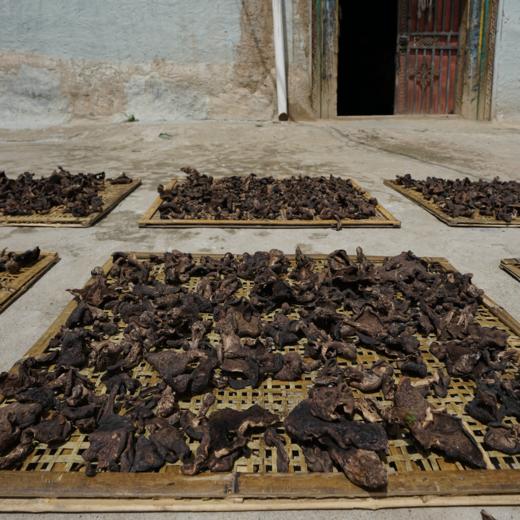 高原野生黑虎掌菌  50克/袋 商品图7