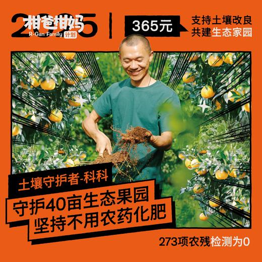 2025柑爸柑妈计划 商品图3