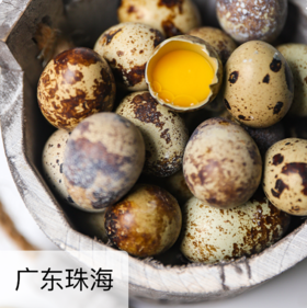 生态鹌鹑蛋  500g/1kg
