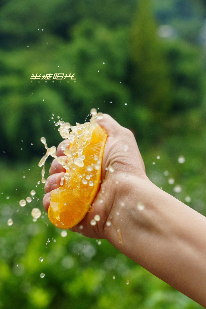 #半坡阳光红美人🍊🍊
糖度基本上都是14-15左右，基本上13起。
这个标准在橘橙柚里面都是最高标准！！果肉鲜嫩多汁，风味浓郁不寡淡！！皮薄如纸，用勺子都可以挖着吃😋3斤/箱