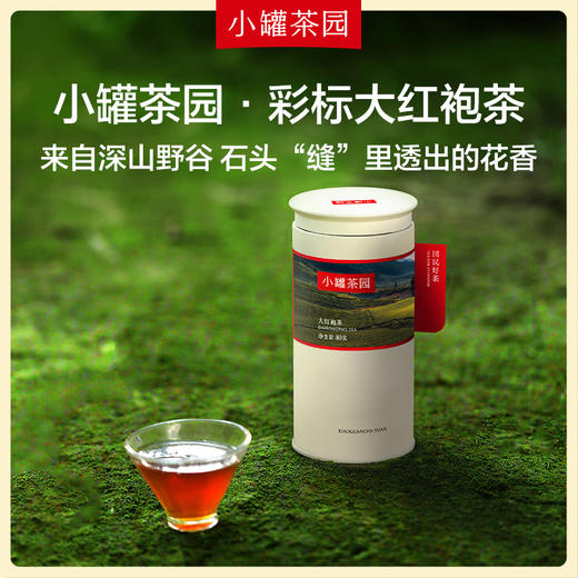 小罐茶园 彩标单罐装  大红袍80g 5A中国茶 -下单两件送精美礼盒【现货】 商品图0