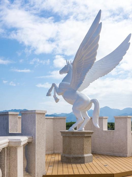 山色暖居丨武义花之秀庄园酒店×1晚或2晚套餐 商品图3