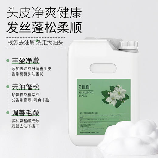 酒店宾馆20升大桶洗发露沐浴露理发店美发廊浴场大瓶洗发水补充装 商品图1