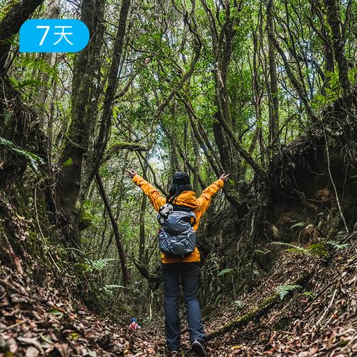 跨年迎新｜第一届高黎贡100公里徒步大会 重走茶马古道和中国远征军之路 7日 商品图5