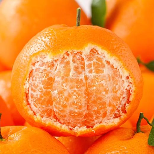 热销爆款！四川春见耙耙柑，果肉软嫩到入口即化，一抿爆汁，甘甜如蜜！ 商品图6