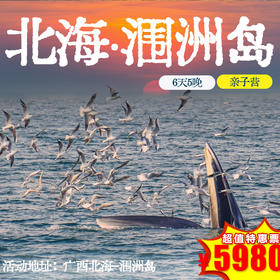 【 冬令营·1月24日-2月5日】6天5晚 · 涠洲观鲸圣地-火山岛亲子探秘之旅，国内唯一观鲸点+三娘湾粉海豚+岛民变形记+家长citywalk自由行...