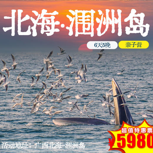 【 冬令营·1月24日-2月5日】6天5晚 · 涠洲观鲸圣地-火山岛亲子探秘之旅，国内唯一观鲸点+三娘湾粉海豚+岛民变形记+家长citywalk自由行... 商品图0