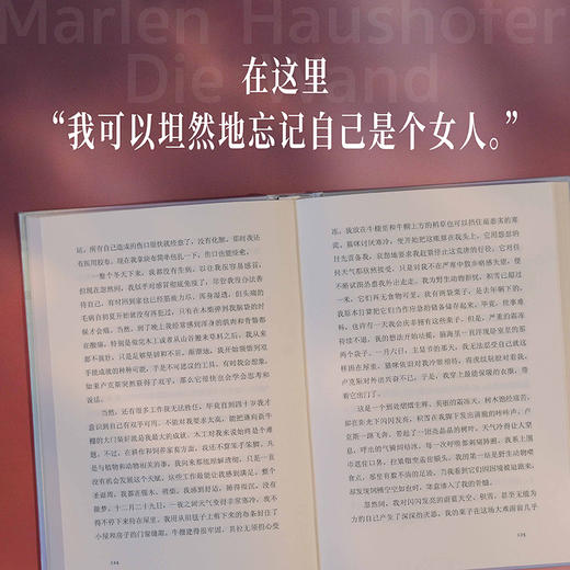 隐墙（末日女性文学典范 女性主义经典 一人一狗一猫一牛的末日乌托邦） 商品图3
