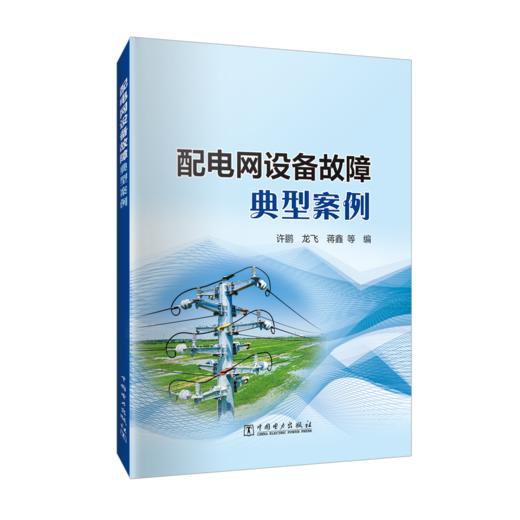 配电网设备故障典型案例 商品图0