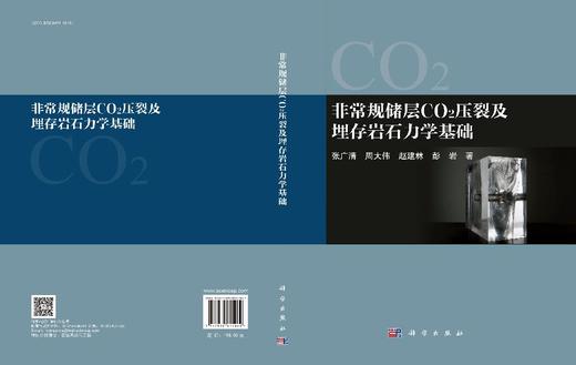 非常规储层CO2压裂及埋存岩石力学基础 商品图3