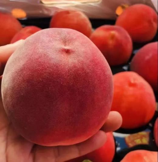 澳洲维多利亚洲公主水蜜桃 商品图3