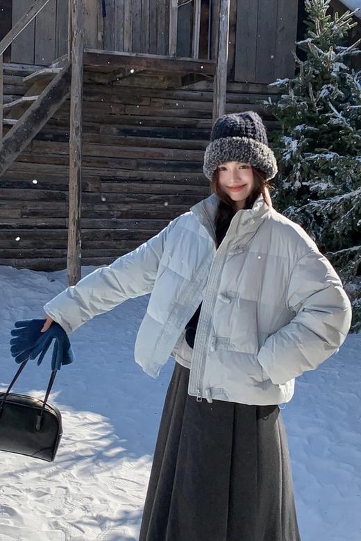 LNNNS 蓝色立领休闲加厚羽绒服 21603 商品图2