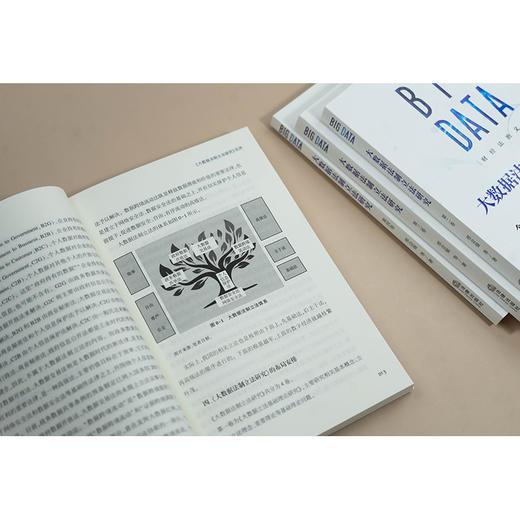 大数据法制立法研究（全4卷）邢会强 等著 法律出版社 商品图5