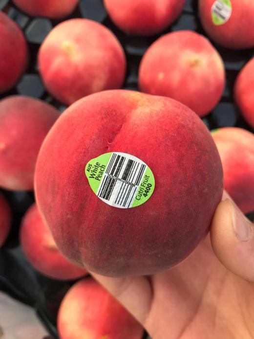 澳洲维多利亚洲公主水蜜桃 商品图0