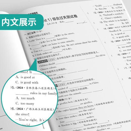 2026春 【人教版】 实验班提优大考卷 七年级英语(下) 商品图3