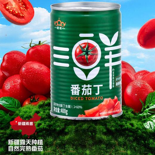 【2025新货】冠农番茄丁400g/罐、冠农番茄丁210g/罐 商品图0
