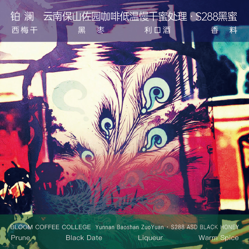 云南咖啡豆佐园蜜处理S288黑蜜手冲浅焙精品新鲜烘焙