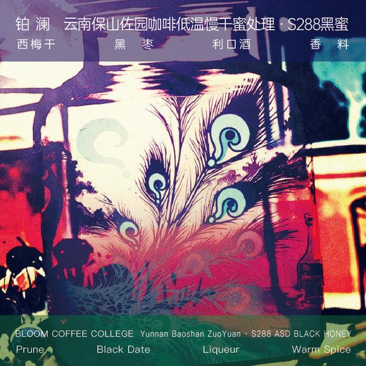 云南咖啡豆佐园蜜处理S288黑蜜手冲浅焙精品新鲜烘焙 商品图0