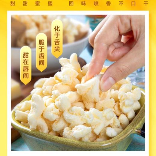 诺倍得冈古佐拉芝士玉米卷55g 商品图1