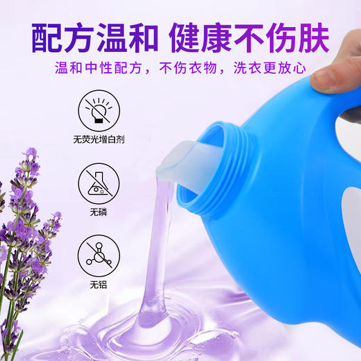 4斤隆力奇薰衣草洗衣液香氛洗衣服去污持久留香柔顺去渍家用批发 商品图2