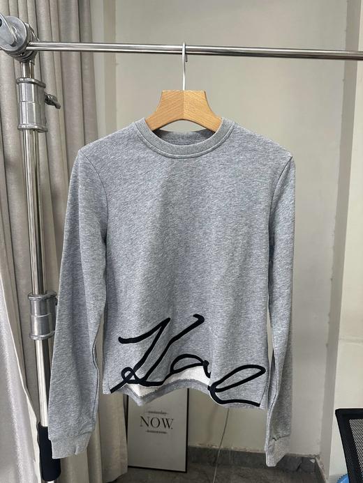 贝壳三 不规则下摆草写字母刺绣短款卫衣毛圈棉长袖上衣C120314 商品图7