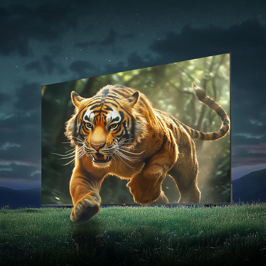 海尔（Haier）电视 100A60C 商品图8