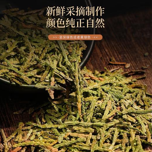 福东海 侧柏叶500克 侧柏可做中药材枕头 泡水可做侧柏粉可搭当归桑叶 商品图4