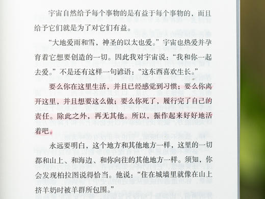 人生醒世五部曲（5册）| 柏拉图、奥勒留、叔本华、尼采、罗素 一次饱读五位世界公认、人类智慧巅峰的醒世巨作 商品图9