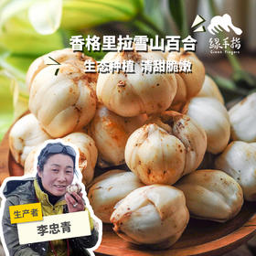 生态高原鲜百合 | 合作生产*Eco- Lily | Partner Production