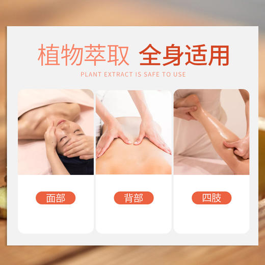 老姜基础热油背部刮痧精油通经络开背揉精油推拿油美容BB油 商品图1