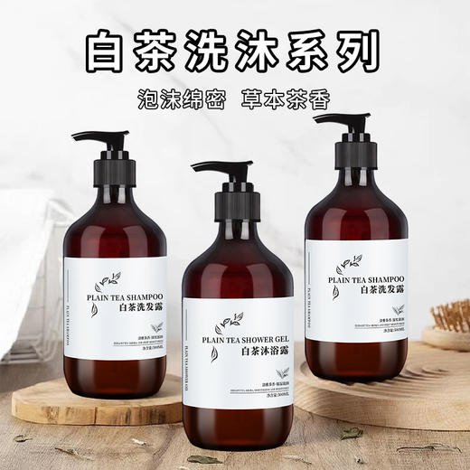 500ml酒店白茶洗发水沐浴露300ml大瓶洗护套装消耗品一件起批正品 商品图0