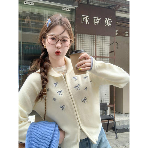 <曾小咸推荐> 韩系翻领拉链毛衣开衫女秋冬新款小个子慵懒针织外套上衣 商品图0