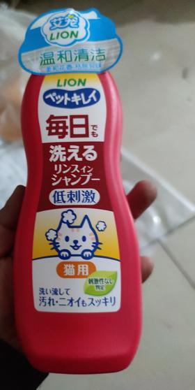 【临期处理26.5.19/18到期随机】'狮王艾宠猫用每日洗香波柔和花香330ml/瓶（爱猫用）